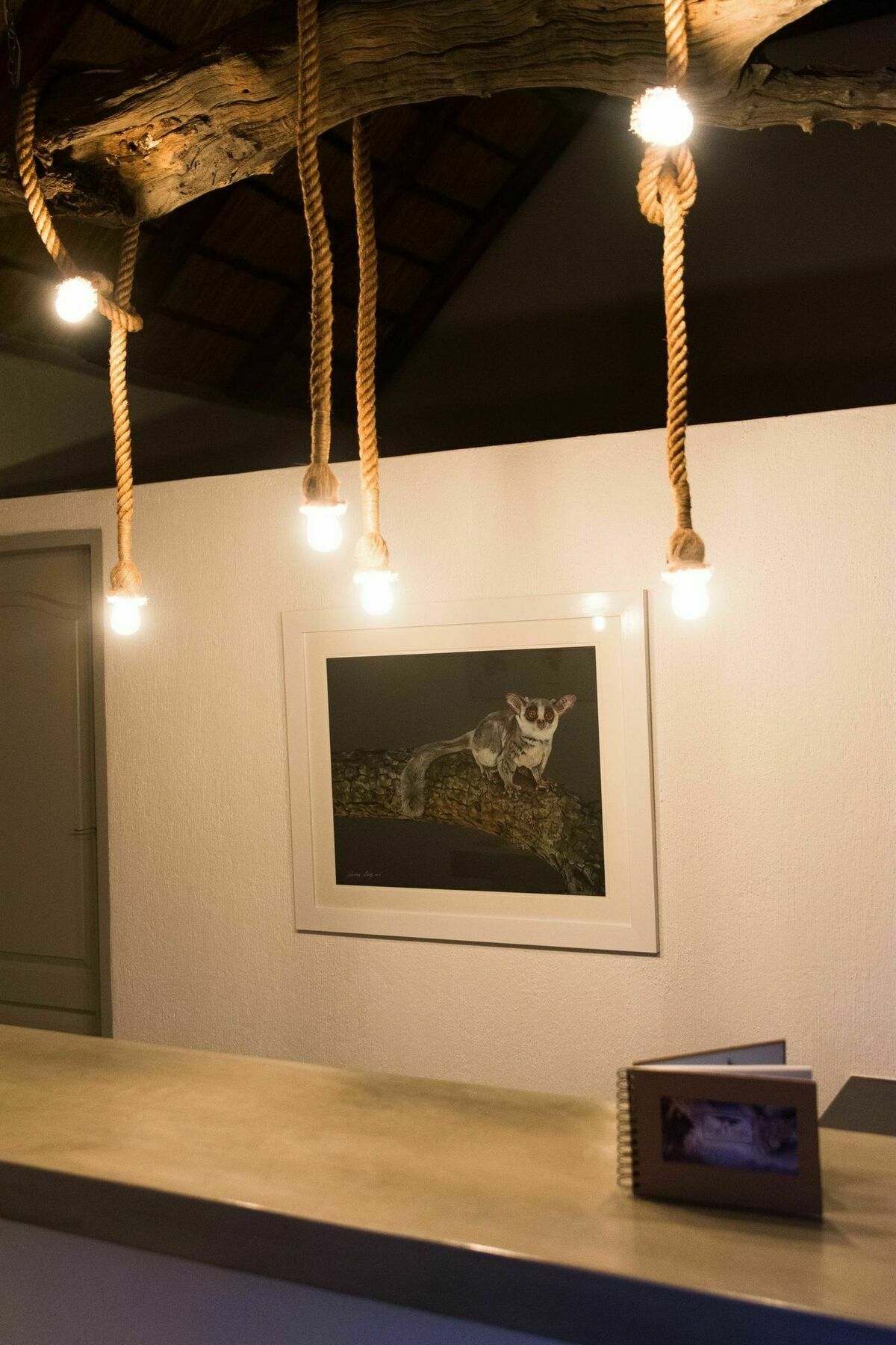 Bushbaby River Lodge Hoedspruit Bagian luar foto